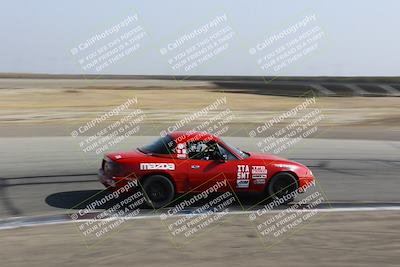 media/Nov-04-2023-CalClub SCCA (Sat) [[cb7353a443]]/Group 1/Cotton Corners (Race)/